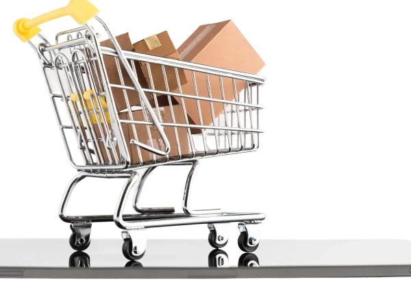 cyber monday shopping